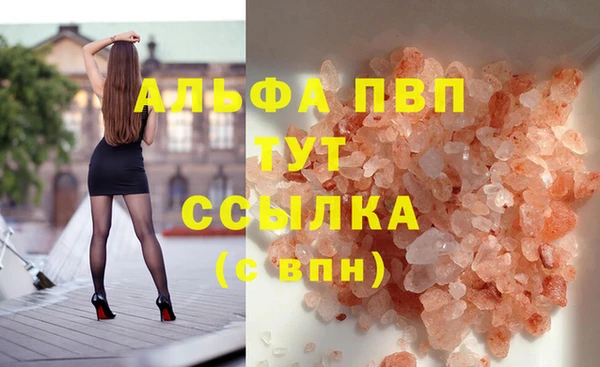 шишки Баксан