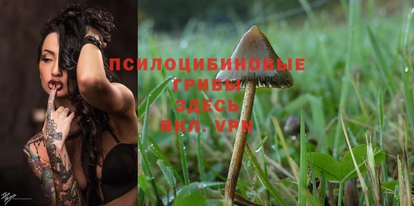 шишки Баксан