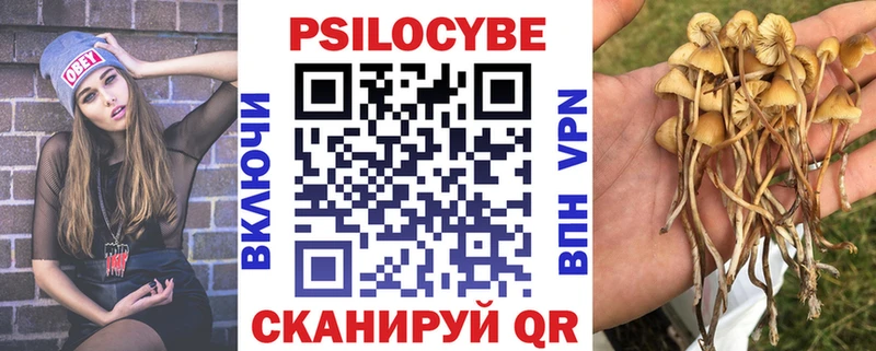 как найти наркотики  Вуктыл  Псилоцибиновые грибы GOLDEN TEACHER 